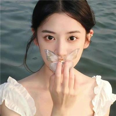 尚迪戈尔的陌生人